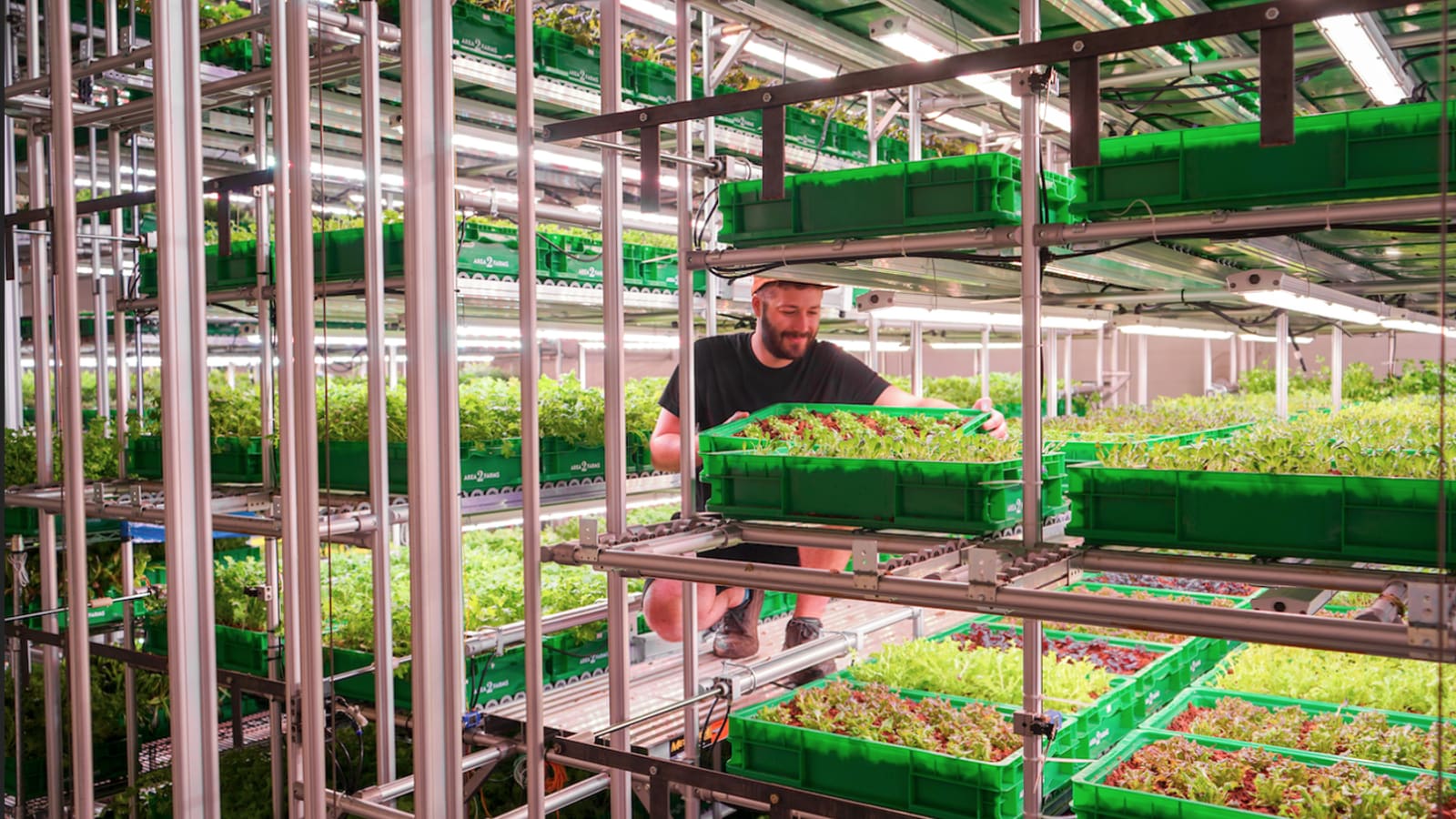 Area 2 Farms: modular vertical farm racks built for robotic growing