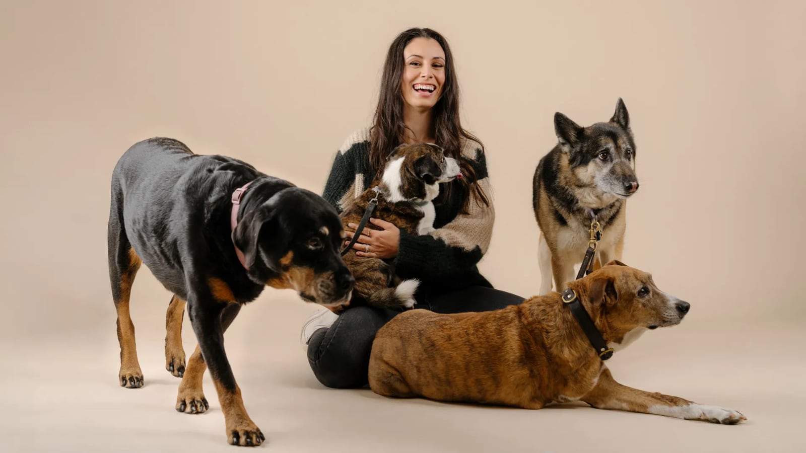 Loyal: a woman with four dogs